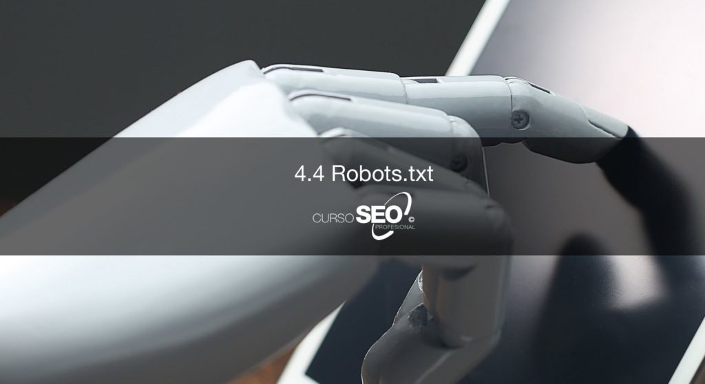 robot txt website auditor